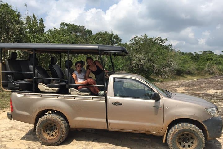 Bundala Birds Safari by Jeep — Wildlife, Best Times & Practical Guide photo 5