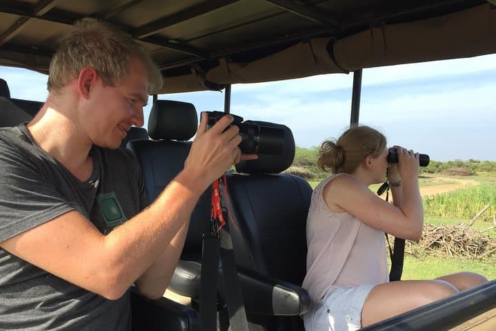 Bundala Birds Safari by Jeep — Wildlife, Best Times & Practical Guide photo 6