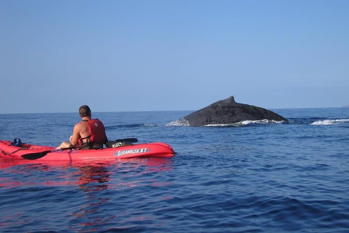 Makena Kayak, Snorkel and Waterfall Hike — Day Tour from Wailea photo 4