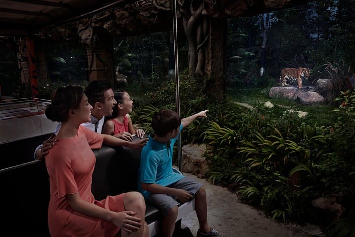 Skip-the-Line Night Safari with Buffet Dinner in Singapore photo 2