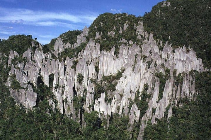 Mulu Showcaves & Headhunter Trail: 5-Day Jungle Trek to Pinnacles and Longhouse photo 5