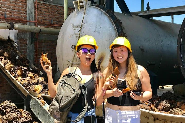Private 3-Hour Guided Tour of Guadalajara: Cathedral, Markets & Historic Center photo 2