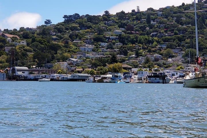 Muir Woods and Sausalito Morning Tour: Redwoods, Golden Gate Views & Waterfront Stroll photo 4