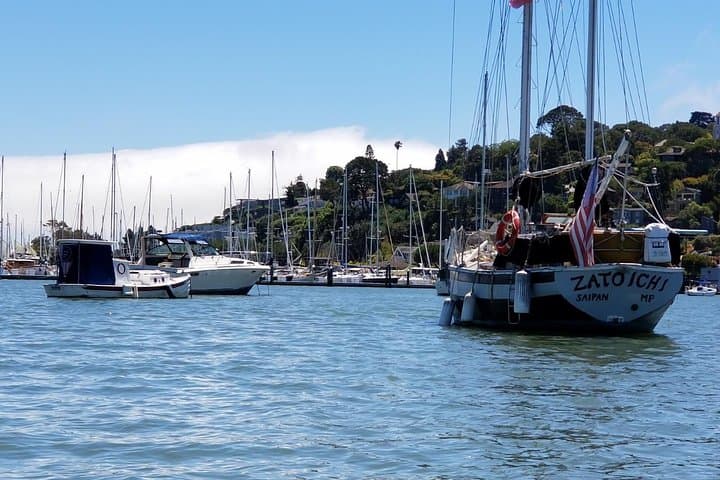 Muir Woods and Sausalito Morning Tour: Redwoods, Golden Gate Views & Waterfront Stroll photo 5