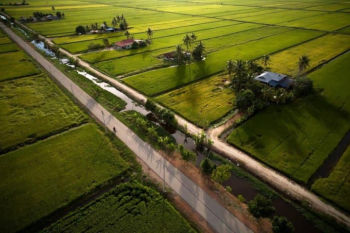 Sekinchan Rice Fields, Monkeys and Fireflies: Full-Day Tour from Kuala Lumpur photo 6