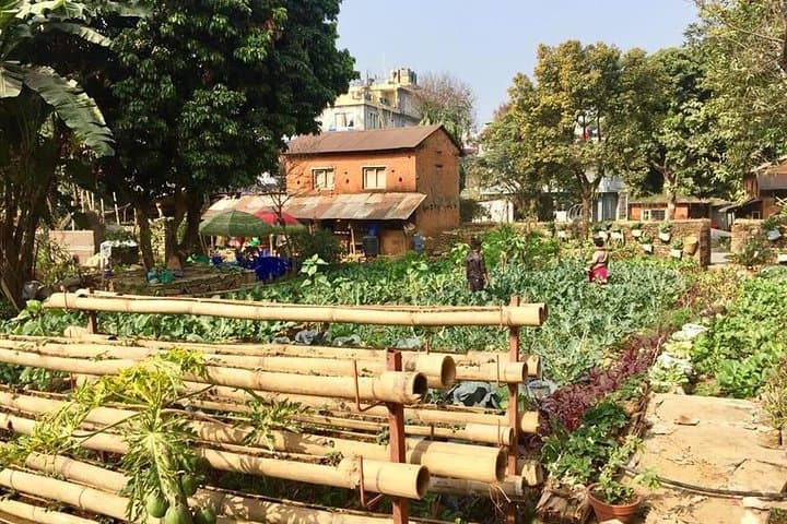 Pokhara Urban Organic Farm Tour with Authentic Nepali Lunch