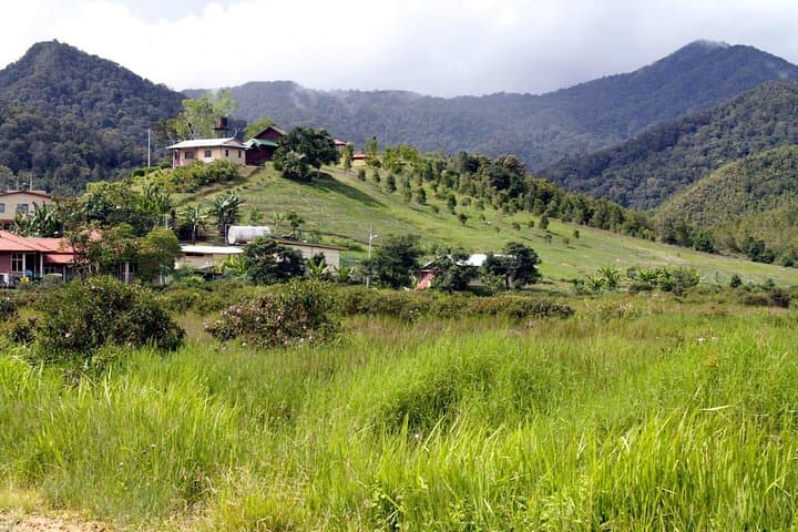 Bario Highlands 3-Day Kelabit Adventure: Trek, Longhouses & Mountain Salt Springs