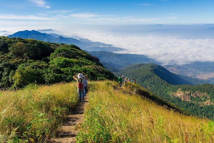 Doi Inthanon Full-Day Trek: Kew Mae Pan & Summit Nature Walk from Chiang Mai