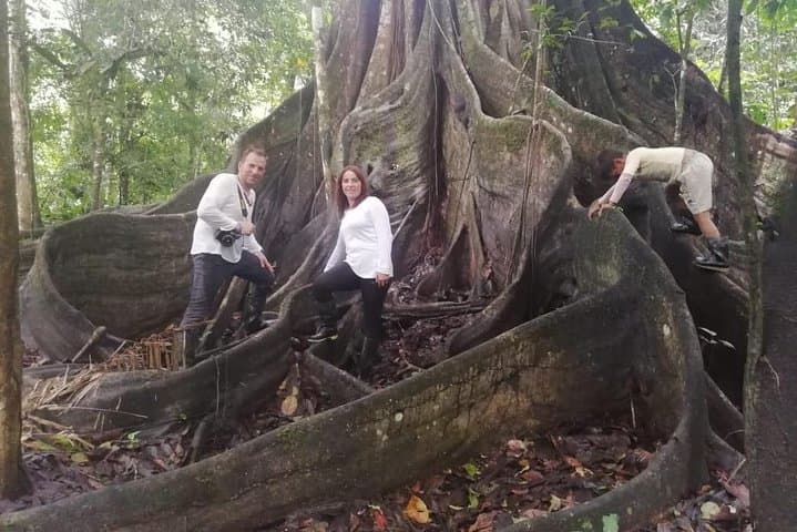 4-Day Amazon Lodge Expedition from Iquitos — Amazon Wonder Expeditions photo 3