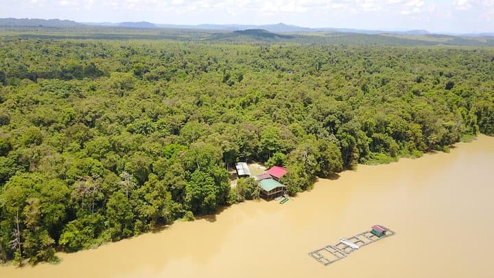 Tanjung Bulat Jungle Camp: 3-Day Kinabatangan Wildlife Immersion photo 5