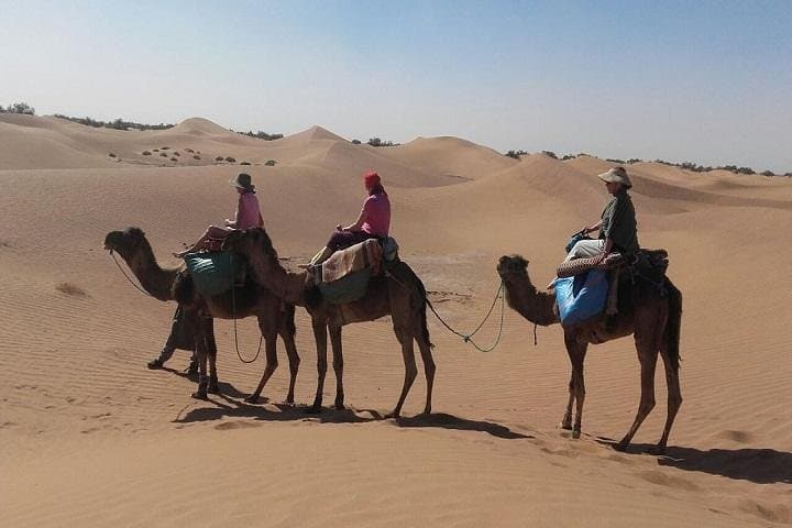 High Atlas to Erg Chebbi: 5-Day Toubkal Summit and Sahara Trek from Marrakech photo 1