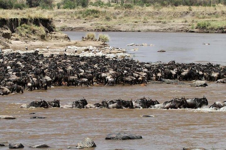 12-Day Tanzania Safari: Wildlife, Craters & Cultural Encounters photo 4