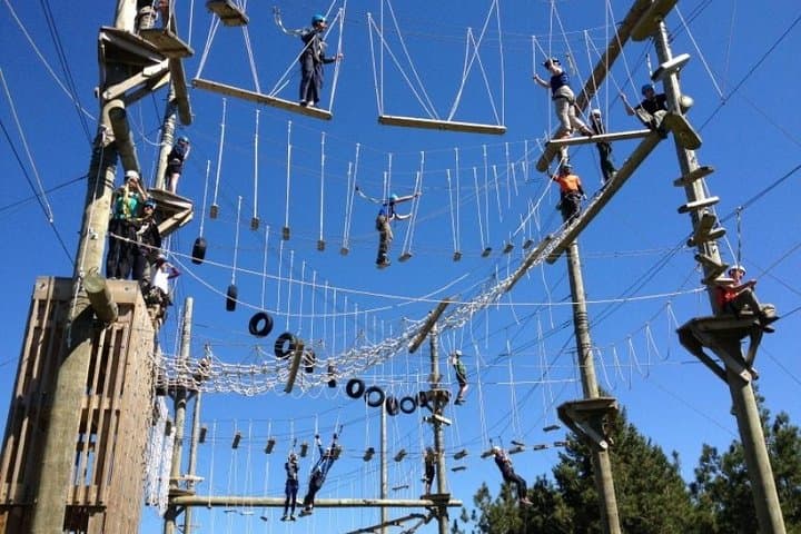 Riga High Ropes: Gauja Valley Canopy Course and Zipline Adventure photo 2