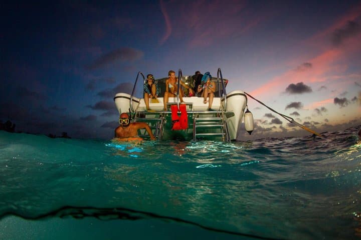 Sunset Night Snorkel Trip to Klein Bonaire — Evening Reef Life & Rum Punch