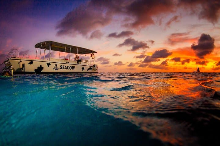 Sunset Night Snorkel Trip to Klein Bonaire — Evening Reef Life & Rum Punch photo 2