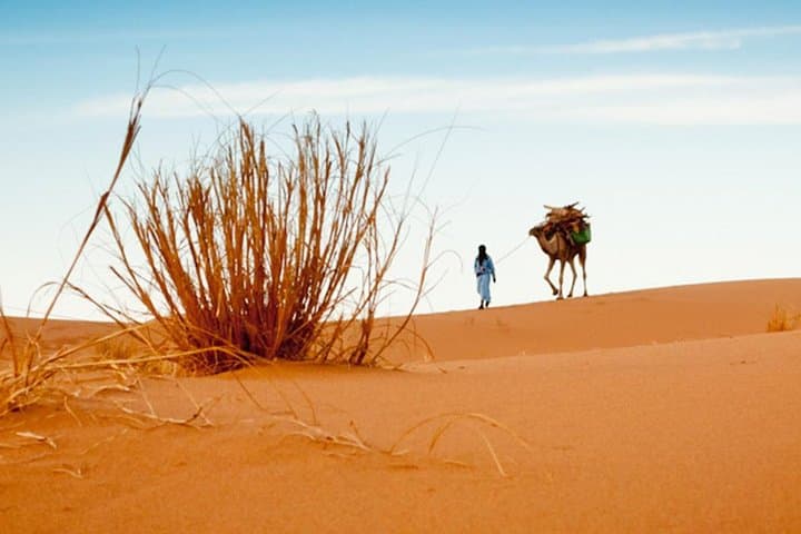 2-Day Zagora Desert Tour from Marrakech — Atlas Mountains, Camel Trek & Desert Camp