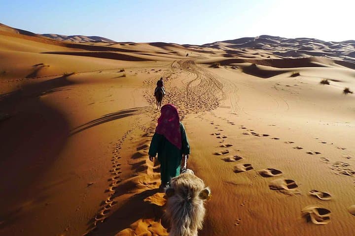 2-Day Zagora Desert Tour from Marrakech — Atlas Mountains, Camel Trek & Desert Camp photo 2