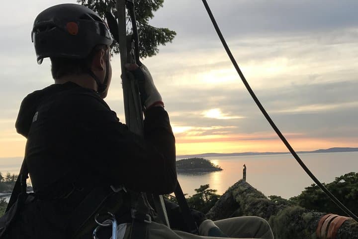 Sunset Canopy Climb on Lopez Island: Experience Washington’s Ancient Giants from Above