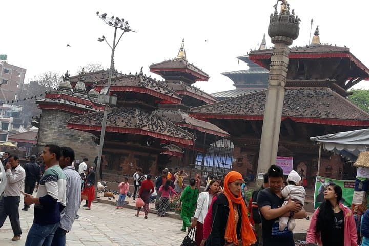 Kathmandu to Chitwan: Seven-Day UNESCO & Wildlife Explorer photo 6