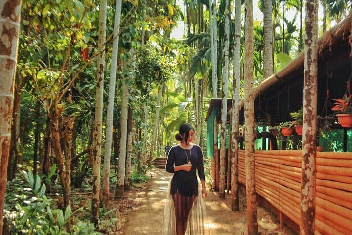 Dudhsagar Waterfall & Goa Spice Plantation Day Tour photo 2