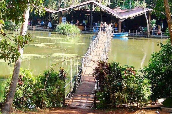 Dudhsagar Waterfall & Goa Spice Plantation Day Tour photo 3
