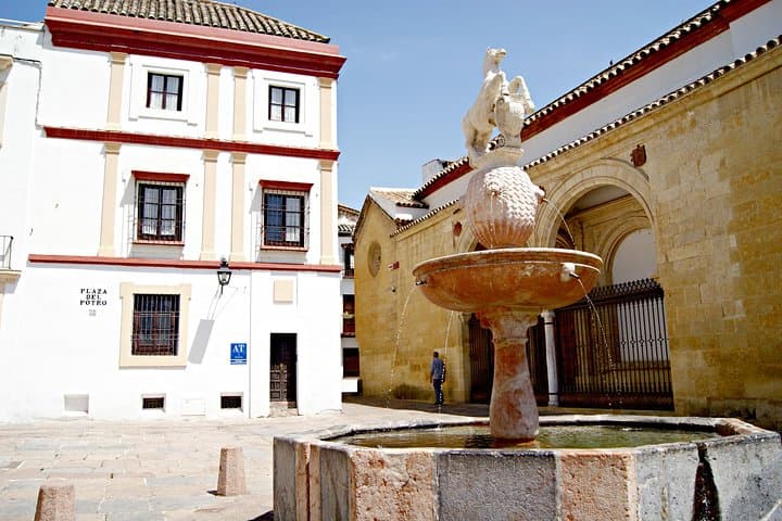Cordoba Mosque-Cathedral Day Trip from Málaga: Mezquita Tour & Andalusian Culture photo 3