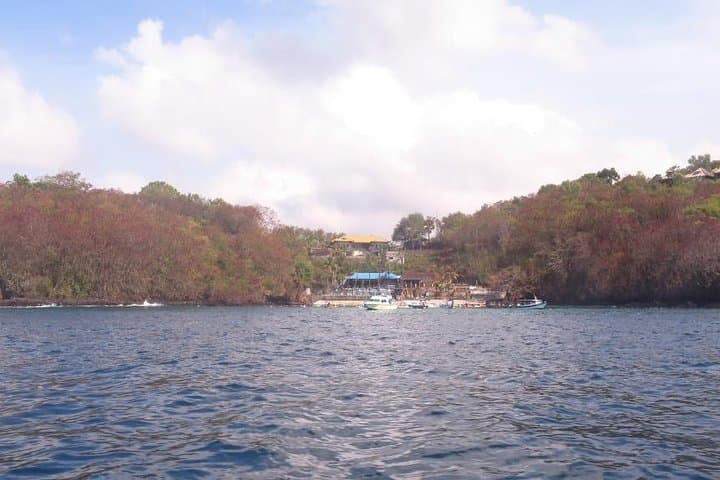 Scuba Diving Padang Bay Bali: Blue Lagoon & Coral Garden Two-Tank Trip photo 3