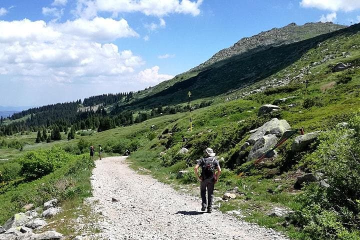 Hike Cherni Vryh: Vitosha Day Hike to 2290m Peak from Sofia