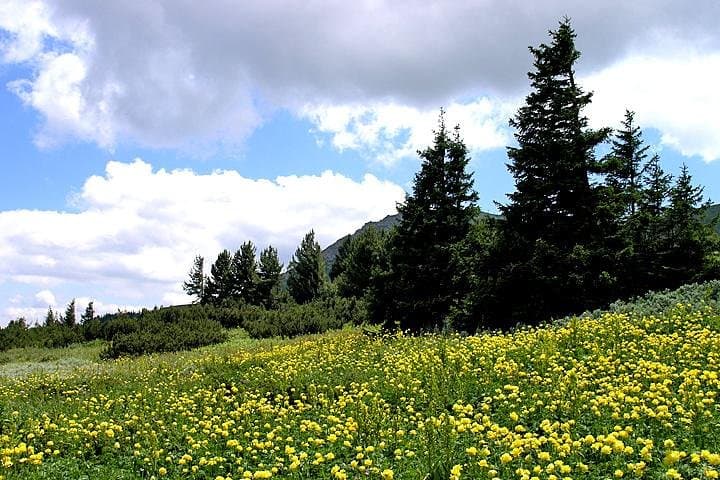 Hike Cherni Vryh: Vitosha Day Hike to 2290m Peak from Sofia photo 2