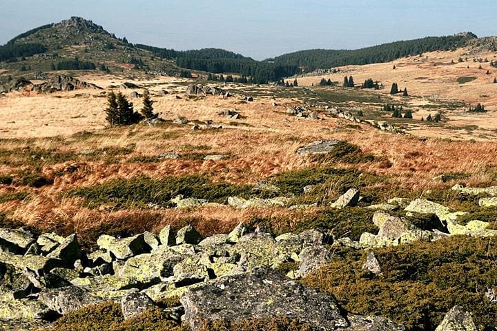 Hike Cherni Vryh: Vitosha Day Hike to 2290m Peak from Sofia photo 4