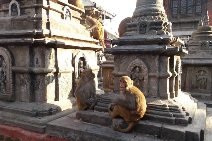 Explore Kathmandu's UNESCO Treasures: Private Day Tour Guide photo 5