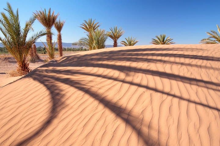 Red Dunes Desert Safari Dubai: Evening Dune Bashing, Camel Ride & BBQ Experience photo 4