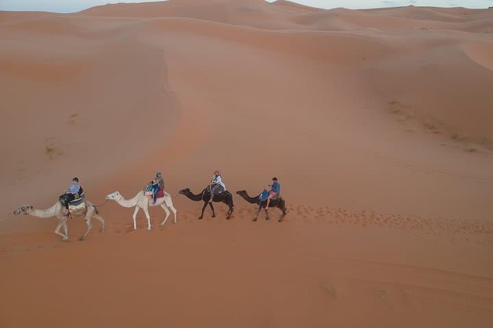 Fes to Merzouga 2-Day Desert Tour: Camel Trek, Nomad Camp & Ziz Valley photo 3