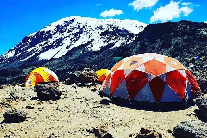 6-Day Rongai Route Kilimanjaro Summit Guide — Moshi to Uhuru Peak
