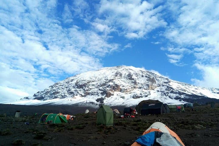 6-Day Rongai Route Kilimanjaro Summit Guide — Moshi to Uhuru Peak photo 2