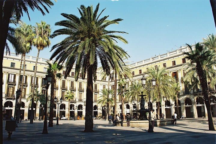 Explore Barcelona by Bike: Private Guided Tour of Gothic Quarter, Eixample & Barceloneta photo 6