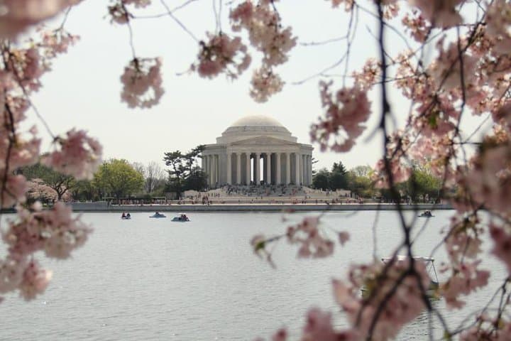 Extended Monuments & Memorials Tricycle Tour of the National Mall photo 4