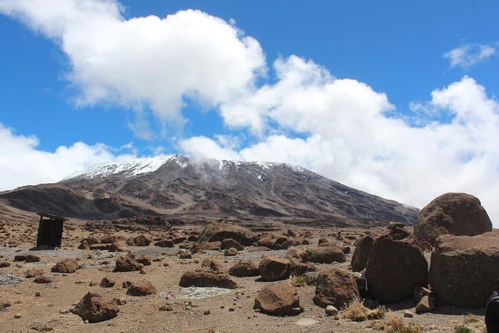 7-Day Lemosho Route: Climb Mount Kilimanjaro from Moshi to Uhuru Peak