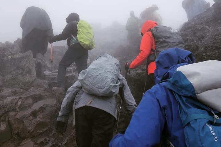 7-Day Lemosho Route: Climb Mount Kilimanjaro from Moshi to Uhuru Peak photo 3