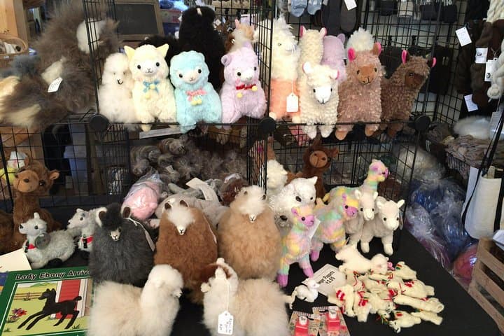 Alpaca Ranch and Fiber Processing Mill Tour: Hands-On Alpaca Experience & Mill Visit photo 3
