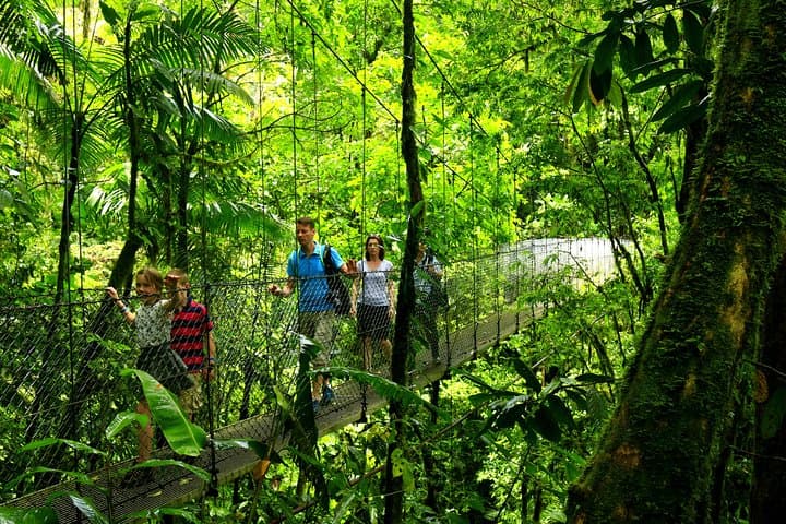 Arenal Hanging Bridges Nature Walk — Mistico Park Rainforest & Volcano Views photo 3