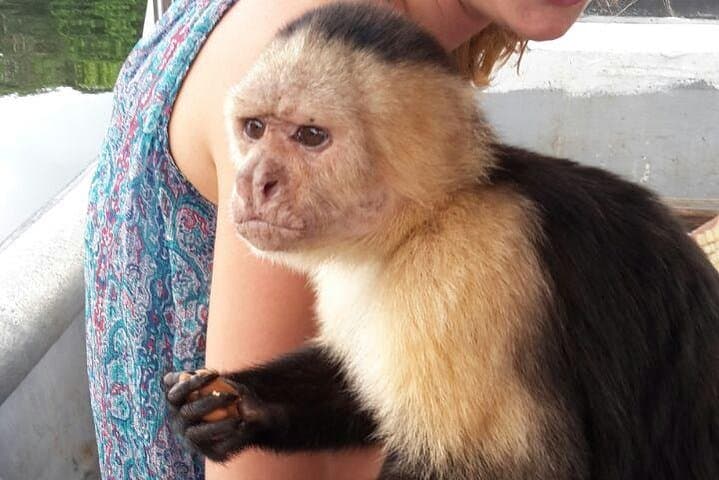 Gatun Lake & Emberá Village: Full-Day Wildlife and Culture Tour from Panama City photo 2