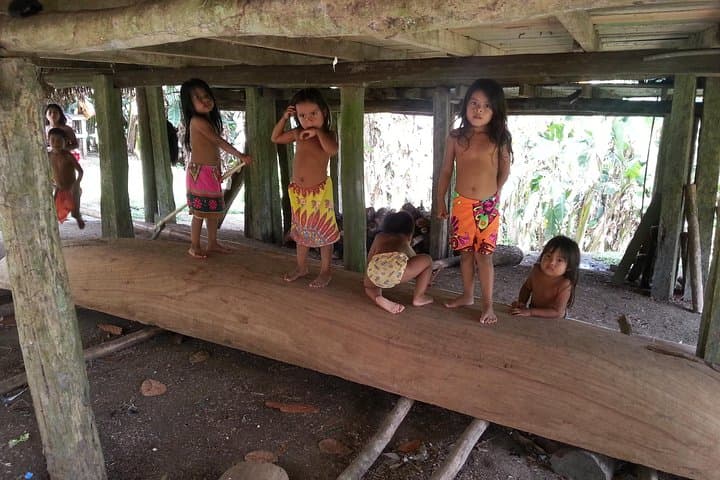 Gatun Lake & Emberá Village: Full-Day Wildlife and Culture Tour from Panama City photo 4