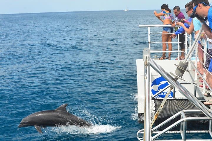 Manuel Antonio Catamaran Eco Adventure — Snorkel, Wildlife & Pacific Views photo 6