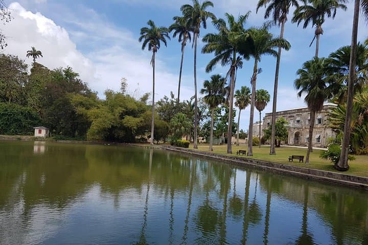 Barbados Half-Day Private Tour — Rural Roads, Rum Shops & Harrison's Cave photo 6
