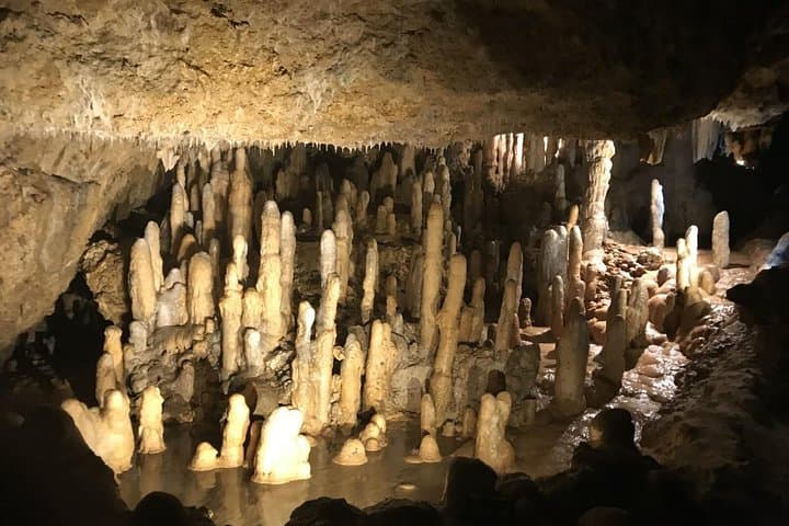 Barbados Full-Day Private Rural Excursion — Harrison's Cave, Bathsheba & St. Nicholas Abbey photo 2