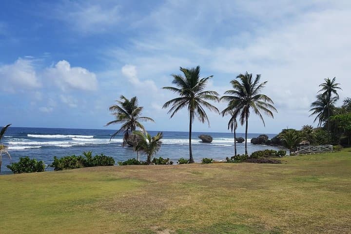 Half-Day Coastal Sightseeing in Barbados — Private Tour from Bridgetown photo 4