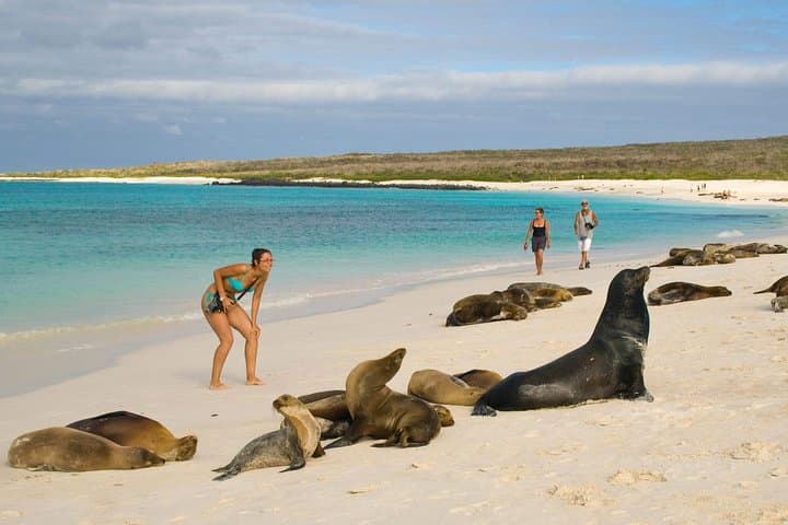 4-Day San Cristóbal Galápagos Land Tour — Kicker Rock, Highlands & Snorkel photo 4