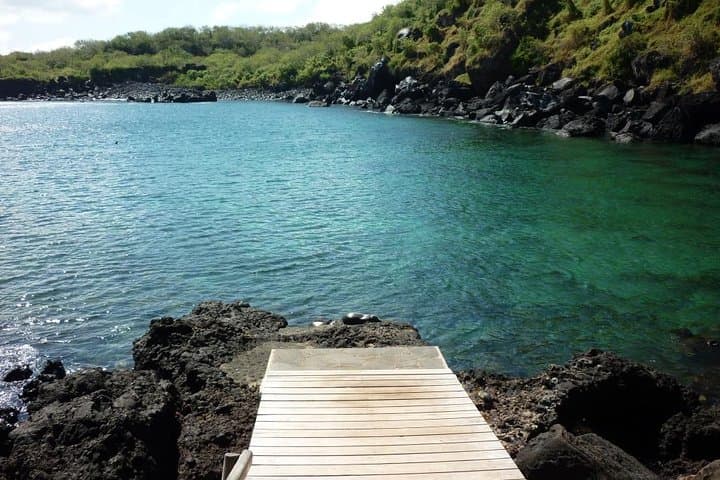 4-Day San Cristóbal Galápagos Land Tour — Kicker Rock, Highlands & Snorkel photo 5