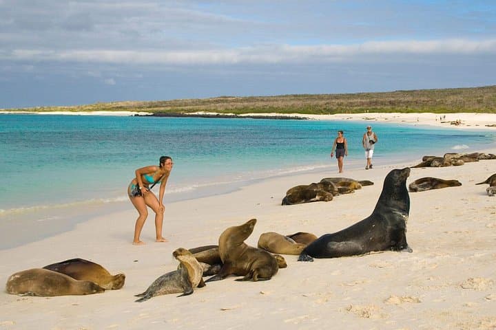 Galapagos 4-Day Land Tour: San Cristobal & Santa Cruz Highlights photo 4